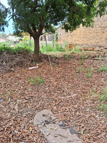 Terreno à venda R$ 450.000,00 - Vila Naidelice / Vila Pires - Santa Bárbara D`Oeste /SP